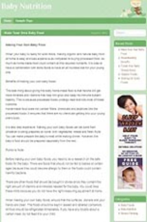 Product picture Baby Nutrition Niche Blog with (PLR)